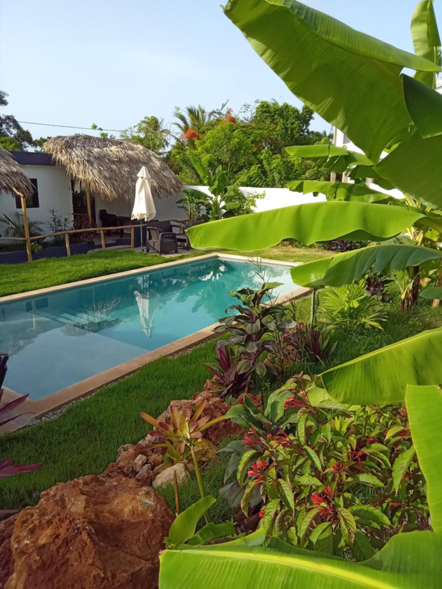Bungalows Colibri Las Galeras Dış mekan fotoğraf
