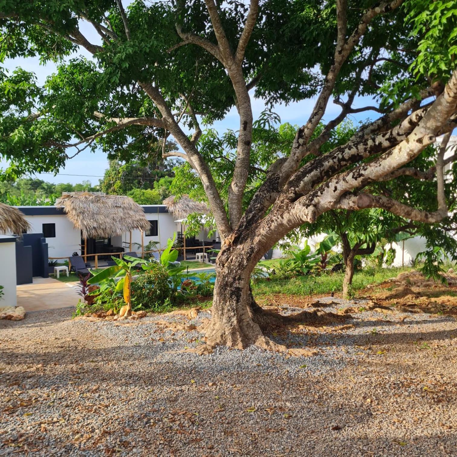 Bungalows Colibri Las Galeras Dış mekan fotoğraf
