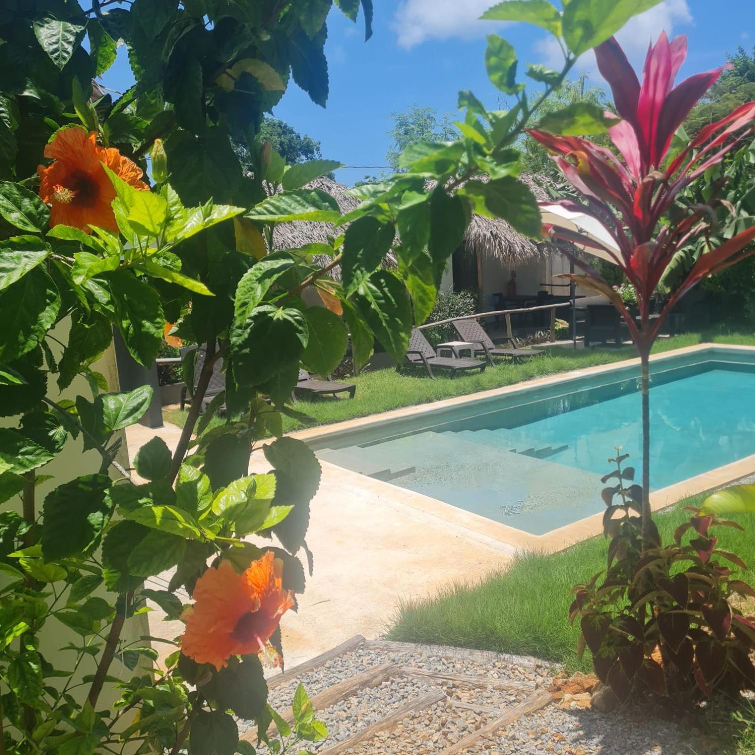 Bungalows Colibri Las Galeras Dış mekan fotoğraf