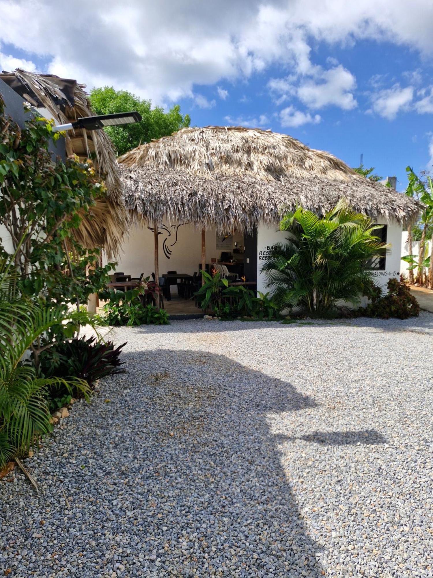 Bungalows Colibri Las Galeras Dış mekan fotoğraf