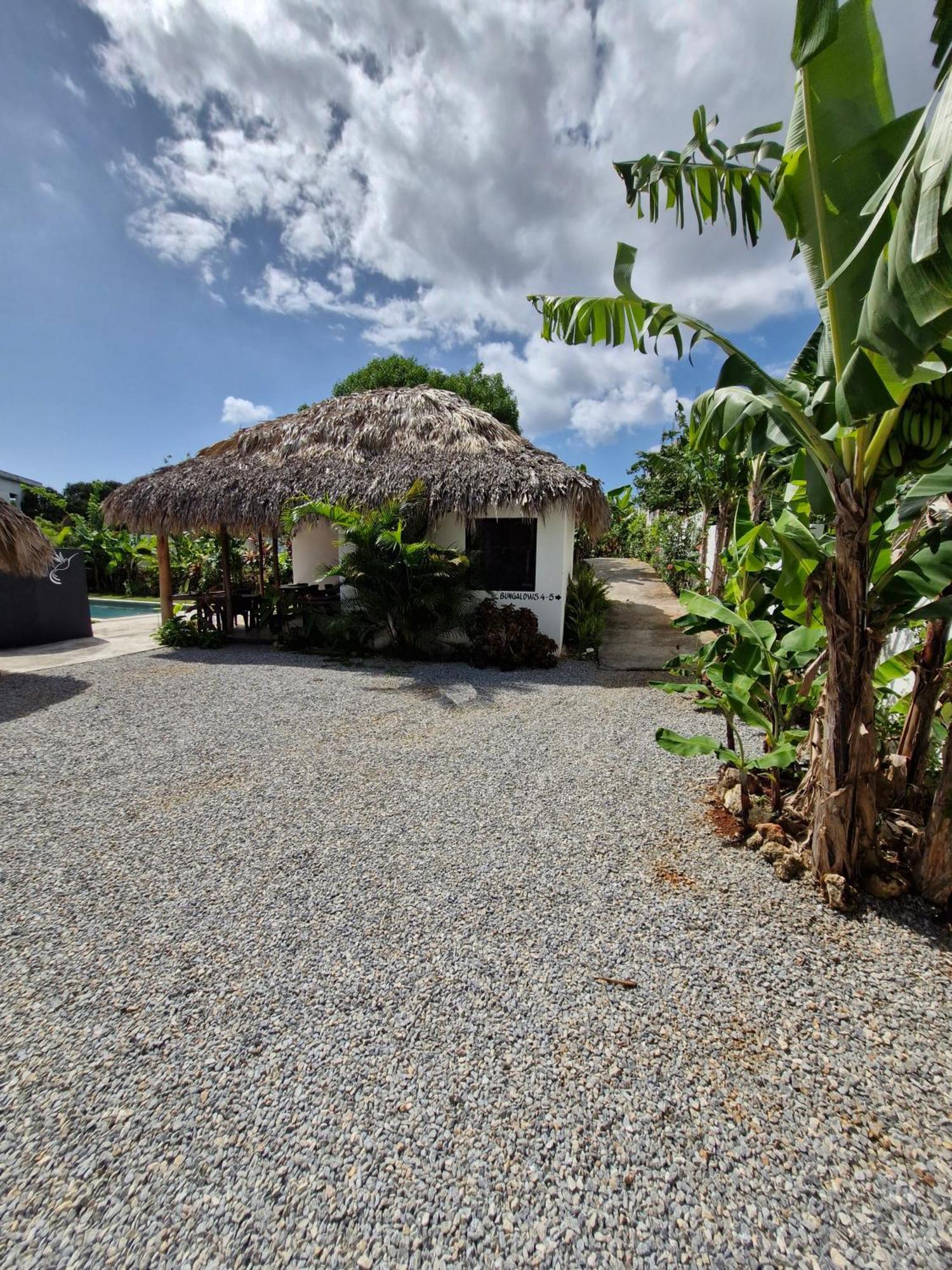 Bungalows Colibri Las Galeras Dış mekan fotoğraf