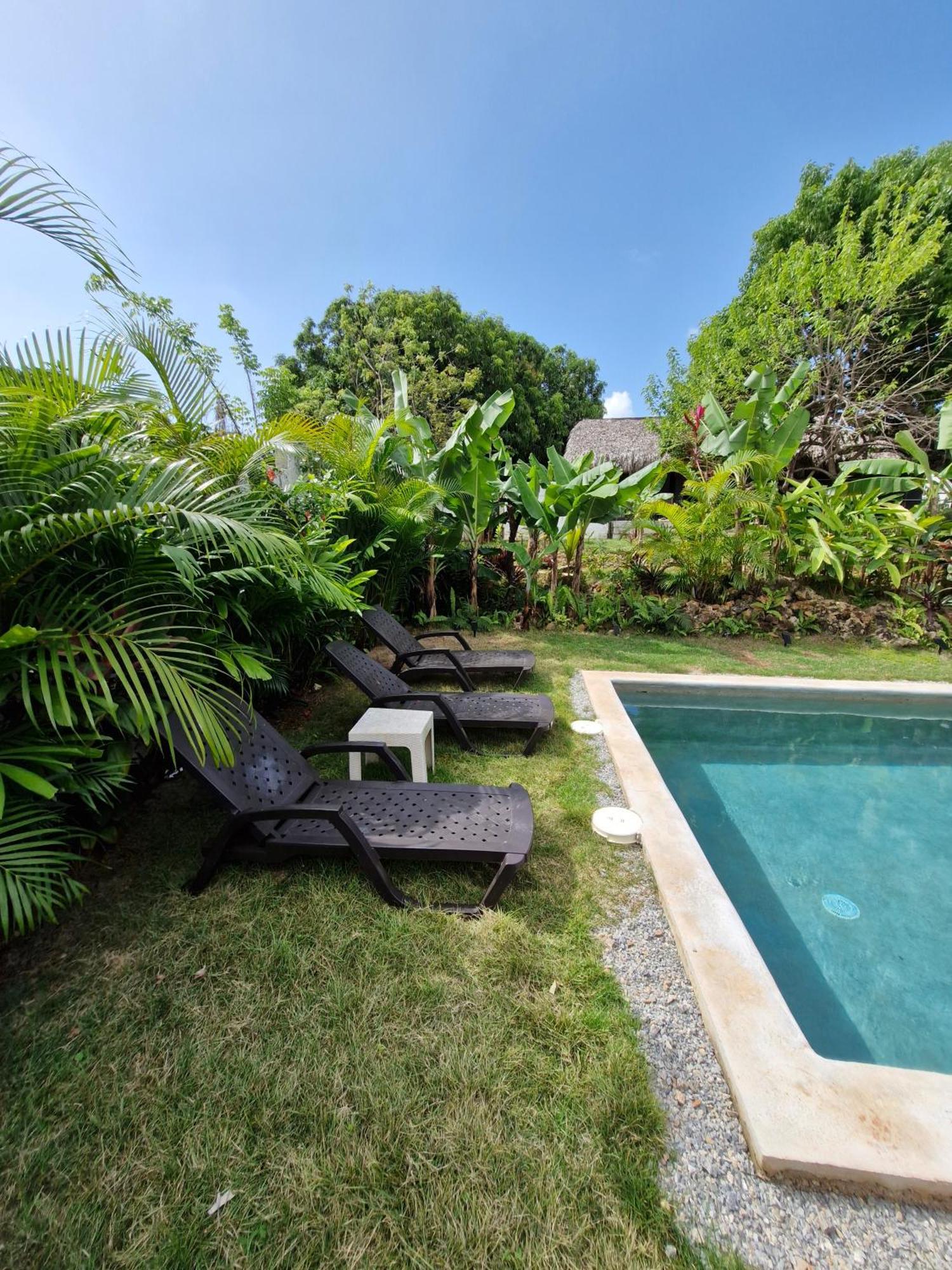 Bungalows Colibri Las Galeras Dış mekan fotoğraf